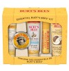 Concours gratuits : Un coffret de produits essentielles Burt's Bees