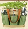 Concours gratuits : Un lot d'outils de jardinage en acier inoxydable